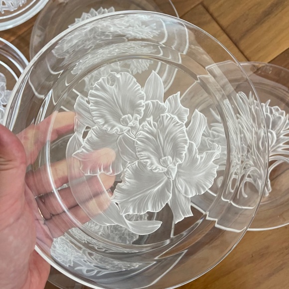 Hoya  Flower Of The Month November-Orchids-Elegance T. Yamamoto - Picture 3 of 4